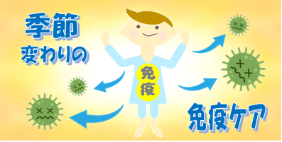 季節の変わり目と免疫関係