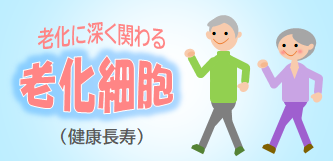 私達の老後が変わるかもしれない！ ～ 健康長寿 ～